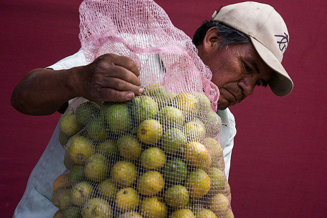 Fruit seller at the Tuesday Tianguis, SMA