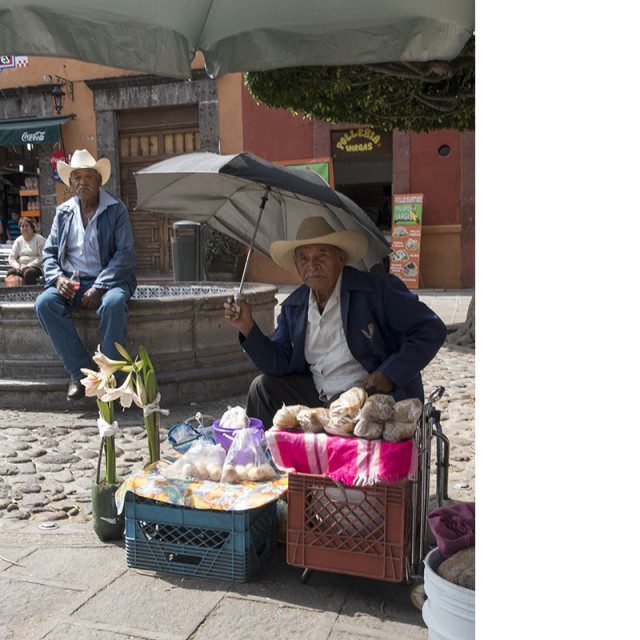 Fruit and Flower Vendor, San Miguel, Apr 2016